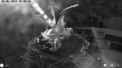 IMG_9764.jpeg