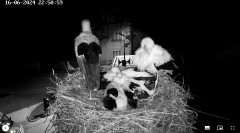 IMG_9851.jpeg