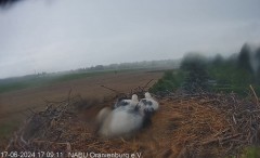 bandicam 2024-06-17 17-19-11-607.jpg