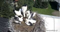 IMG_9973.jpeg
