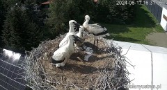 IMG_9976.jpeg