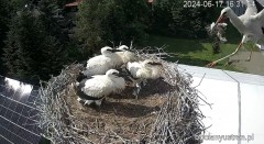 IMG_9977.jpeg