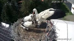IMG_9978.jpeg
