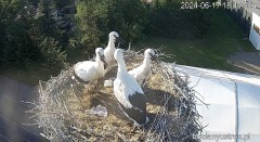 IMG_9988.jpeg