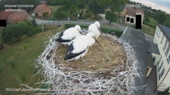 IMG_5500.jpeg