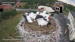 IMG_5501.jpeg