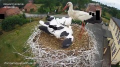 IMG_5582.jpeg