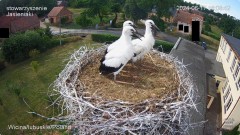 IMG_5628.jpeg