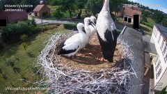 IMG_5620.jpeg