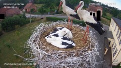 IMG_5646.jpeg
