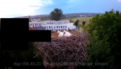 2024-06-17 20_56_38-rtsp___94.40.20.138_554_h264_ch1_main_av_stream - VLC media player.png