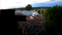 2024-06-17 21_09_33-rtsp___94.40.20.138_554_h264_ch1_main_av_stream - VLC media player.png
