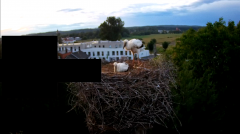 2024-06-17 21_09_50-rtsp___94.40.20.138_554_h264_ch1_main_av_stream - VLC media player.png