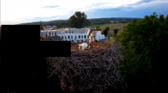 2024-06-17 21_10_14-rtsp___94.40.20.138_554_h264_ch1_main_av_stream - VLC media player.png