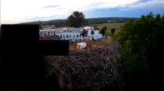 2024-06-17 21_10_27-rtsp___94.40.20.138_554_h264_ch1_main_av_stream - VLC media player.png