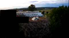 2024-06-17 21_17_57-rtsp___94.40.20.138_554_h264_ch1_main_av_stream - VLC media player.png