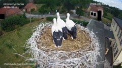 IMG_5737.jpeg