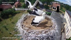 IMG_5796.jpeg