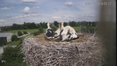 2024-06-18 23_24_33-Bociany - Raszków - YouTube – Brave.png