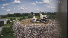 2024-06-18 23_24_43-Bociany - Raszków - YouTube – Brave.png