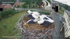 IMG_5874.jpeg