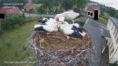 IMG_5876.jpeg