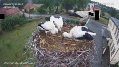 IMG_5879.jpeg