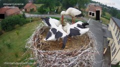IMG_5953.jpeg