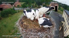 IMG_6002.jpeg