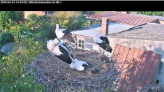 bandicam 2024-06-19 19-45-17-101.jpg