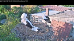 bandicam 2024-06-19 19-45-23-884.jpg