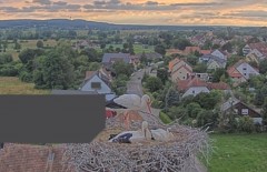bandicam 2024-06-19 19-49-59-155.jpg