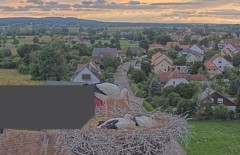 bandicam 2024-06-19 19-50-11-117.jpg
