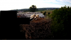 2024-06-19 19_37_26-rtsp___94.40.20.138_554_h264_ch1_main_av_stream - VLC media player.png