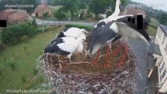 IMG_6056.jpeg