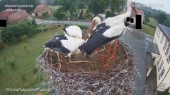 IMG_6067.jpeg