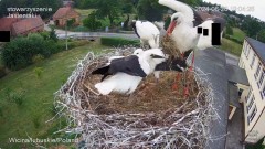 IMG_6204.jpeg