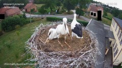 IMG_6212.jpeg