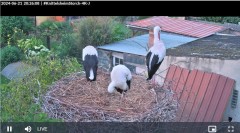 bandicam 2024-06-21 20-26-40-310.jpg