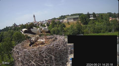 2024-06-21 20_21_52-Biecz gniazdo bocianów - YouTube – Maxthon.png