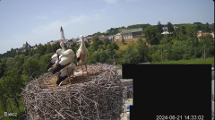 2024-06-21 20_22_26-Biecz gniazdo bocianów - YouTube – Maxthon.png