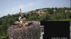 2024-06-21 20_26_05-Biecz gniazdo bocianów - YouTube – Maxthon.png