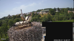 2024-06-21 20_26_19-Biecz gniazdo bocianów - YouTube – Maxthon.png