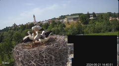 2024-06-21 20_26_32-Biecz gniazdo bocianów - YouTube – Maxthon.png