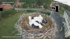 IMG_6219.jpeg