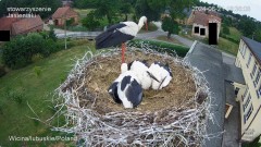 IMG_6349.jpeg