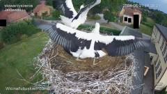 IMG_6367.jpeg