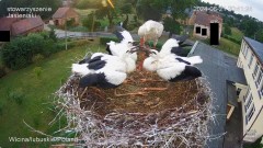 IMG_6370.jpeg