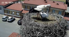 2024-06-21 21_20_44-Odtwarzacz multimedialny.png