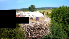 2024-06-21 12_06_11-rtsp___94.40.20.138_554_h264_ch1_main_av_stream - VLC media player.png
